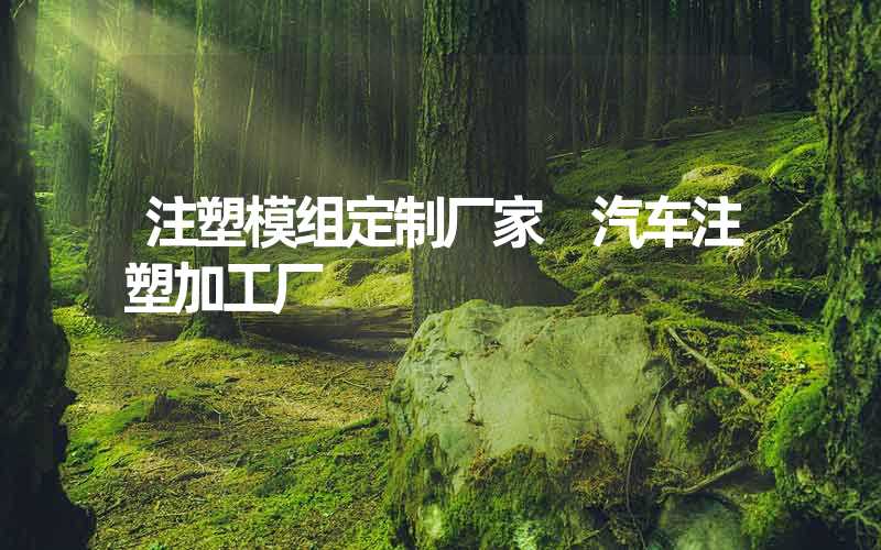 注塑模组定制厂家 汽车注塑加工厂